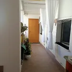 Domo Mia
